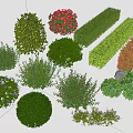 Diverse Garden Shrubs in Various Shapes and Flowering Colors for Landscaping
