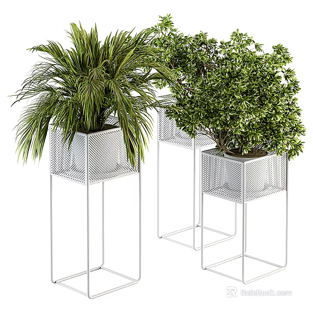 Modern Bonsai Potted Plants On Metal Stands With Lush Green Foliage 3d model 