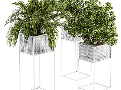 Modern Bonsai Potted Plants On Metal Stands With Lush Green Foliage 3d model