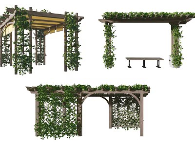 Garden Pergola Covered With Green Vines Wooden Structure And Bench Design 3d model