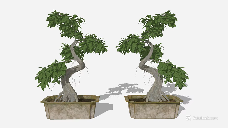 Two Bonsai Plants with Curved Trunks and Lush Green Leaves in Square Textured Pots 3d model 