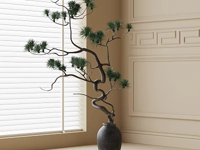potted plant bonsai plant green plant 3d model