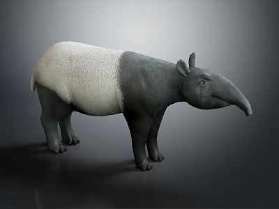 Tapir With White And Gray Coat Standing On Gray Background With Long Snout 3d model