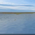 Natural Peaceful Wetland Landscape With Rippling Blue Water And Green Plants Under Bright Cloudy Sky