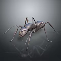Realistic Metallic Ant With Detailed Legs And Reflection On Dark Background
