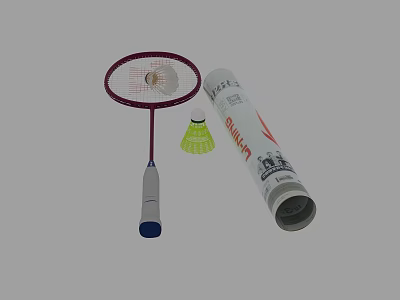 Quality Badminton Sports Equipment Including Racket Shuttlecock And Tube Container Set 3d model