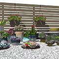 Various Colorful Bonsai Potted Plants with Hanging Planters on Wooden Background