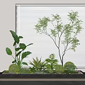 Diverse Indoor Plant Combination With Large Leafy Plants Small Shrubs And Window Blinds Decor