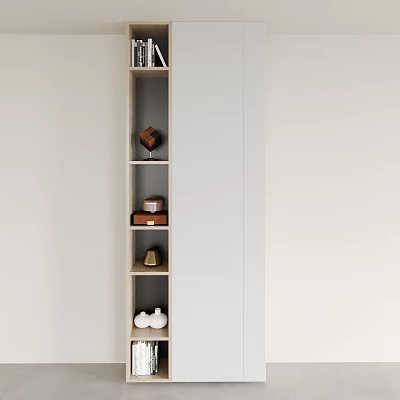 Modern Wardrobe Interior Design With Multiple Shelves And Storage Boxes For Organizing 3d model