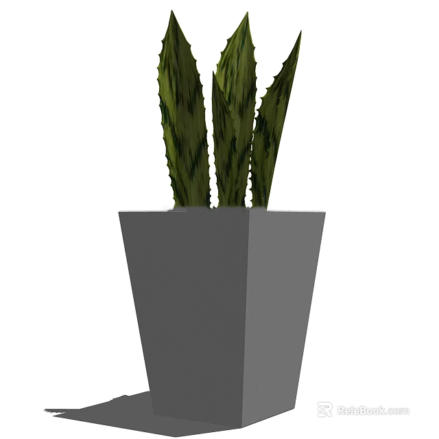 Bonsai Potted Plant With Green Striped Leaves In Gray Geometric Pot For Modern Home Decor 3d model 