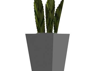 Bonsai Potted Plant With Green Striped Leaves In Gray Geometric Pot For Modern Home Decor 3d model