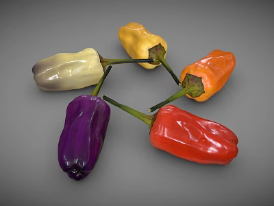 Fresh Bell Peppers with Different Colors as Colorful Vegetable 3d model