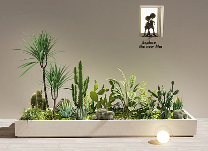 Plant Combination Potted Plant Combination Plant Pile Cactus Landscape Indoor Landscape 3d model