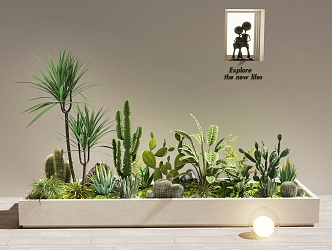 Plant Combination Potted Plant Combination Plant Pile Cactus Landscape Indoor Landscape 3d model