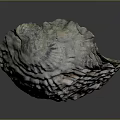 Oyster Shell With Layered Texture And Natural Color Patterns On Gray Background 3d model