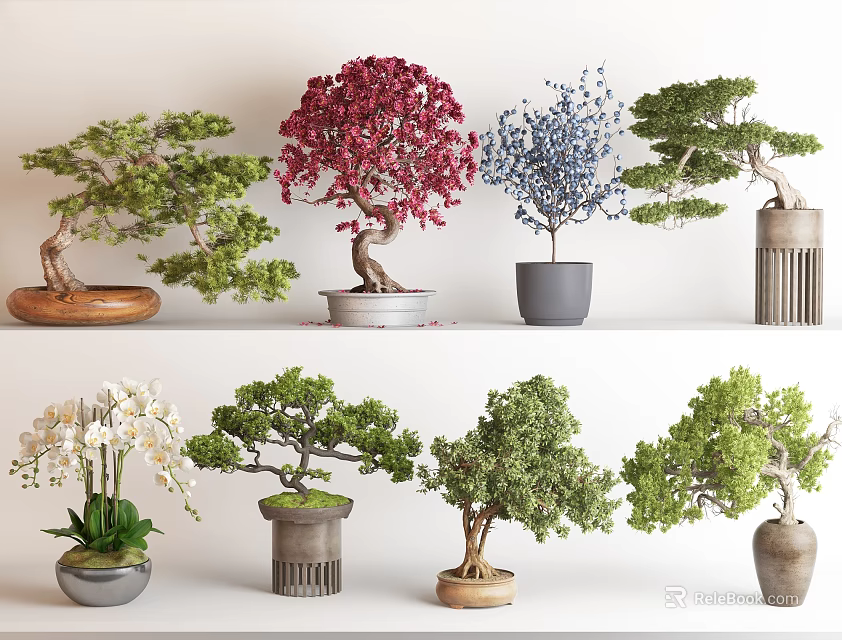 Various Stylish Bonsai Plants With Different Colored Trees And Decorative Indoor Pots 3d model 