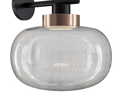 Modern Black Metal Wall Lamp With Clear Glass Shade And Brushed Brass Accent 3d model