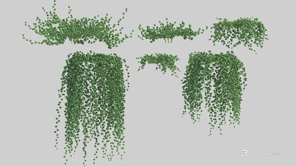 Green Hanging Vines with Lush Green Leaves and Various Growth Patterns for Decoration 3d model 