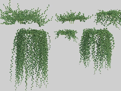 Green Hanging Vines with Lush Green Leaves and Various Growth Patterns for Decoration 3d model