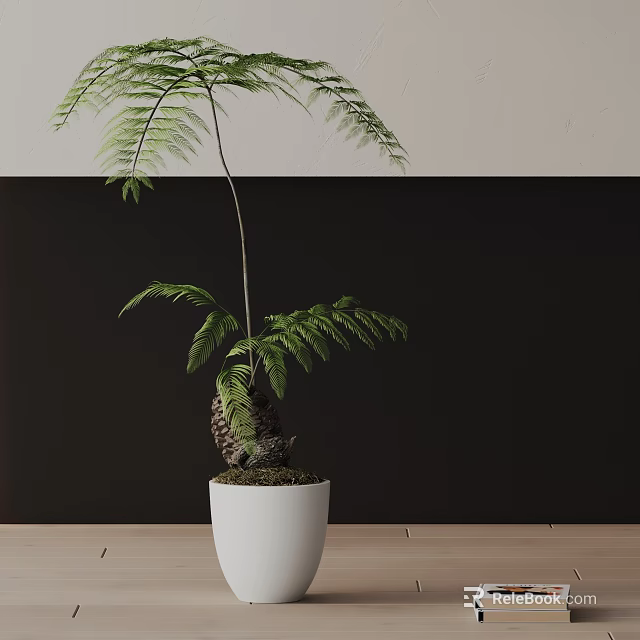 Stylish Bonsai Plant with Fern Leaves in White Pot on Wooden Tabletop Against Black Background 3d model 