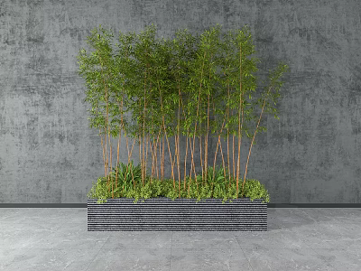 Potted Bamboo Bonsai Plants in Rectangular Concrete Planter with Green Leaves By Gray Wall 3d model
