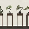 Four Traditional Bonsai Plants On Tall Wooden Stands With Light Background