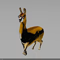 3D Character Llama with Orange and White Fur Wearing Glasses Standing on Dark Background