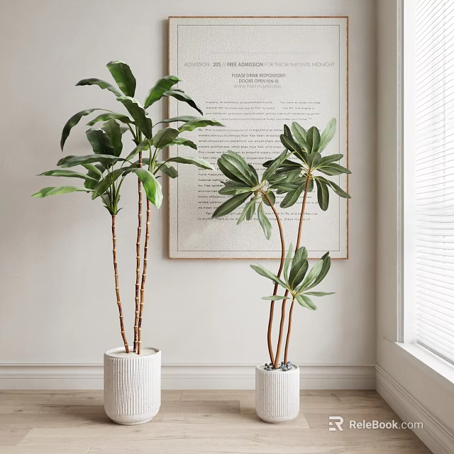 Decorative Indoor Potted Plants in White Ceramic Pots with Wall Art and Bright Light 3d model 