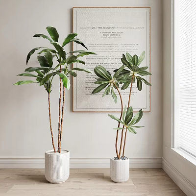 Decorative Indoor Potted Plants in White Ceramic Pots with Wall Art and Bright Light 3d model