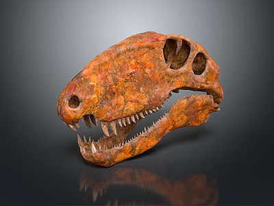 Orange Brown Dinosaur Skull Fossil With Sharp Teeth And Textured Surface 3d model