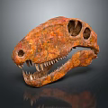 Orange Brown Dinosaur Skull Fossil With Sharp Teeth And Textured Surface 3d model