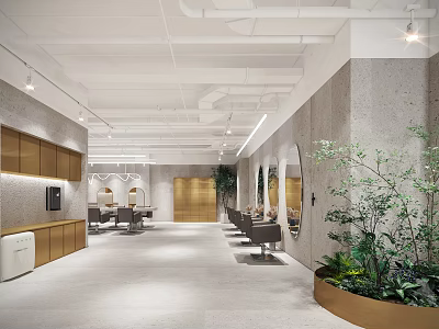 Modern Hair Salon Interior With Styling Chairs Mirrors Wooden Cabinets And Green Plants 3d model