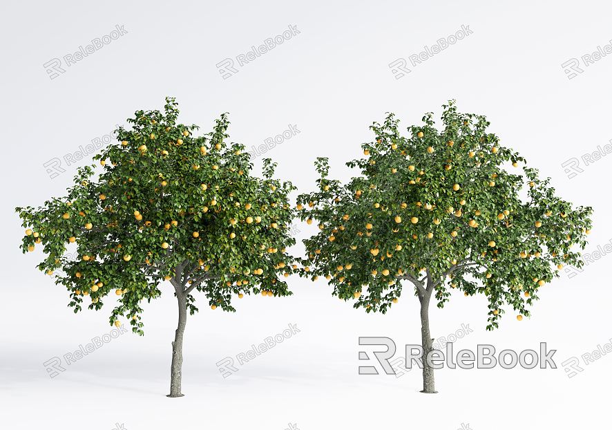 Modern Fruit Trees Landscape Trees Courtyard Fruit Trees model