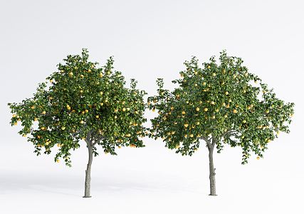 Modern Fruit Trees Landscape Trees Courtyard Fruit Trees 3d model