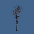 Different Arbor Trees with Varied Heights and Bare Branches Against Blue Background 3d model