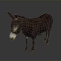 Brown Donkey Standing Against Dark Background With Natural Features