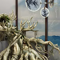 Natural Wood Roots With Moss And Stone Decor By Glass Wall And Distant Mountains