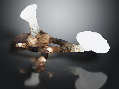 Fresh Organic Root Vegetable With White Flesh And Brown Skin On Dark Background 3d model