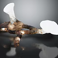Fresh Organic Root Vegetable With White Flesh And Brown Skin On Dark Background
