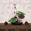 Black Vase With Pink Lotus Flowers And Green Leaves On Wooden Cabinet Gray Textured Wall