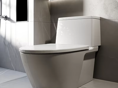 Modern Bathroom Interior With White Ceramic Toilet And Gray Tiles Wall Floor 3d model