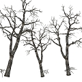 Dead trees, dead branches, trees 3d model