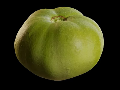 Vibrant Single Fresh Green Tomato Close Up Shot On Black Background 3d model
