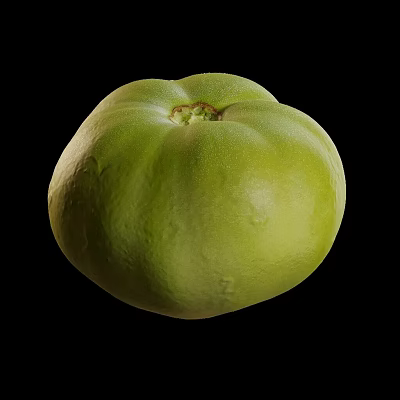 Vibrant Single Fresh Green Tomato Close Up Shot On Black Background 3d model
