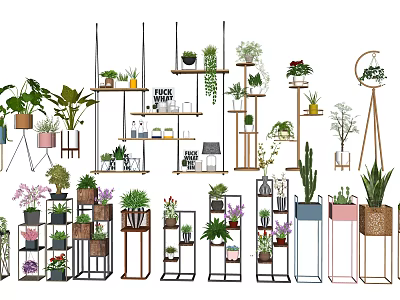 Stylish Potted Plants Display With Multi Tier Stands And Colorful Pots For Interior 3d model