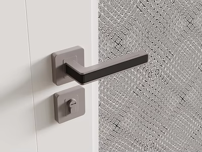 Modern Gray Door Lock Handle With Geometric Pattern On White Door 3d model