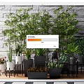 Indoor Potted Green Plants Display With Stone Wall Background And Wooden Floor