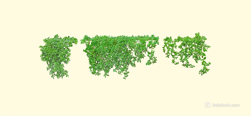 Lush Green Hanging Vines With Natural Foliage For Decorative Garden Use 3d model 