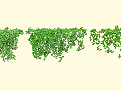 Lush Green Hanging Vines With Natural Foliage For Decorative Garden Use 3d model