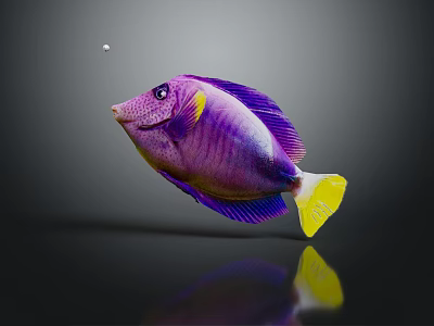 Vibrant Purple Aquatic Fish With Yellow Fins Swimming In Black Background Reflection 3d model